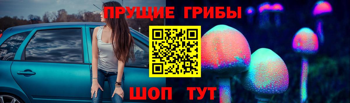 Галлюциногенные грибы Cubensis Долгопрудный